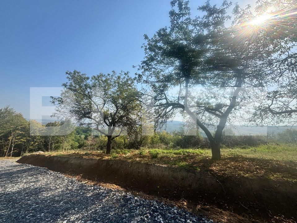 Teren de vânzare Viișoara - 176850TV | BLITZ Bistriţa | Poza1