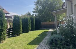 Casa Ta de Vis în Oaza de Liniște zona Decebal