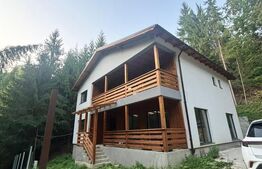 Cabana/Pensiune de vânzare în Colibița, cu acces la lac