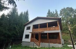 Cabana/Pensiune de vânzare în Colibița, cu acces la lac