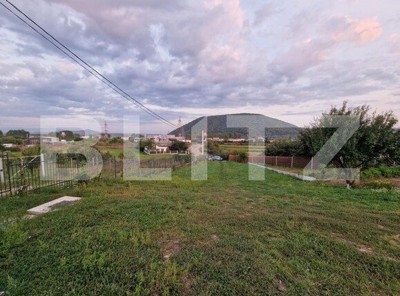 Casa de vânzare 4 camere Viișoara - 177013CV | BLITZ Bistriţa | Poza6