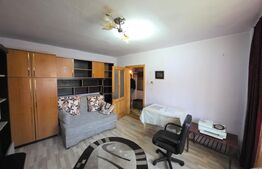 Apartament cu o camera, mobilat, parter inalt–zona Sensul Vechi, bloc reabilitat