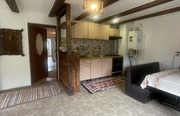 Casă frumoasă și cochetă de vânzare în Milaș - 2900 mp teren 