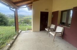 Casă frumoasă și cochetă de vânzare în Milaș - 2900 mp teren 