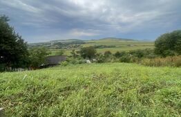 Casă frumoasă și cochetă de vânzare în Milaș - 2900 mp teren 