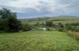 Casă frumoasă și cochetă de vânzare în Milaș - 2900 mp teren 