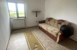 Casă frumoasă și cochetă de vânzare în Milaș - 2900 mp teren 