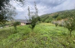 Casă frumoasă și cochetă de vânzare în Milaș - 2900 mp teren 