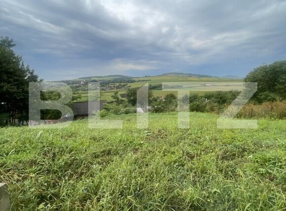 Casa de vânzare 3 camere Exterior Sud - 177211CV | BLITZ Bistriţa | Poza13