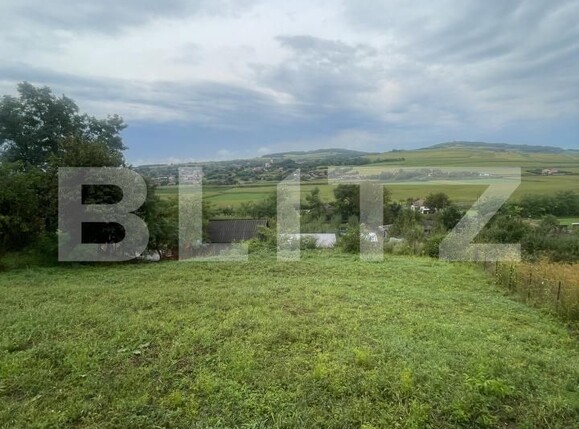 Casa de vânzare 3 camere Exterior Sud - 177211CV | BLITZ Bistriţa | Poza10