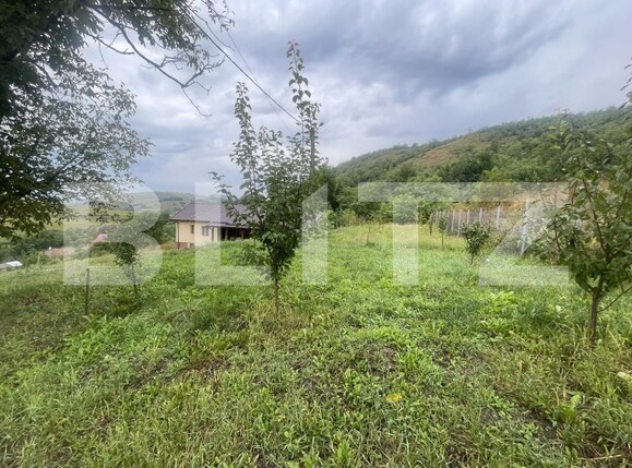 Casa de vânzare 3 camere Exterior Sud - 177211CV | BLITZ Bistriţa | Poza11