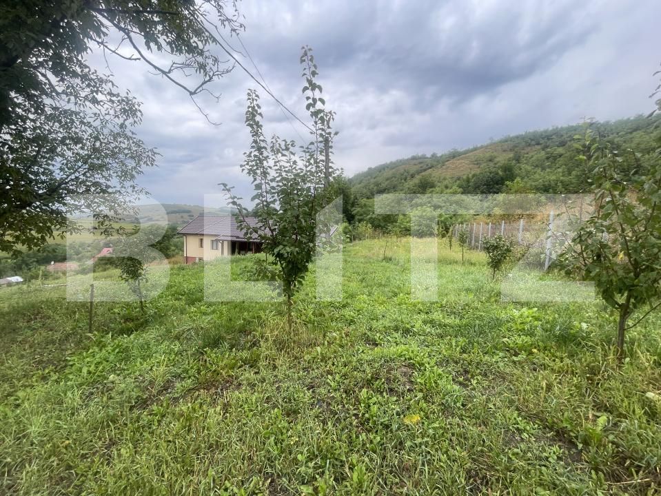 Casa de vânzare 3 camere Exterior Sud - 177211CV | BLITZ Bistriţa | Poza11