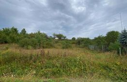 Teren de vânzare Nord-Vest - 150029TV | BLITZ Bistriţa | Poza5