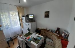Apartament cu 2 camere, 52 mp, etaj 3, zona Decebal
