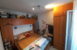 Apartament cu 2 camere, 52 mp, etaj 3, zona Decebal