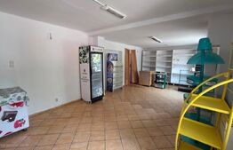 Casă 80 mp utili, cu teren de 350 m – zona Sens, potențial investițional uriaș