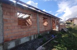 Casa la rosu 100mp,4 camere,750 mp teren extravilan,zona Dealu Jelnei