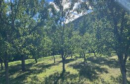 Teren intravilan 500mp Saratel