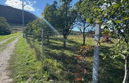 Teren intravilan 500mp Saratel