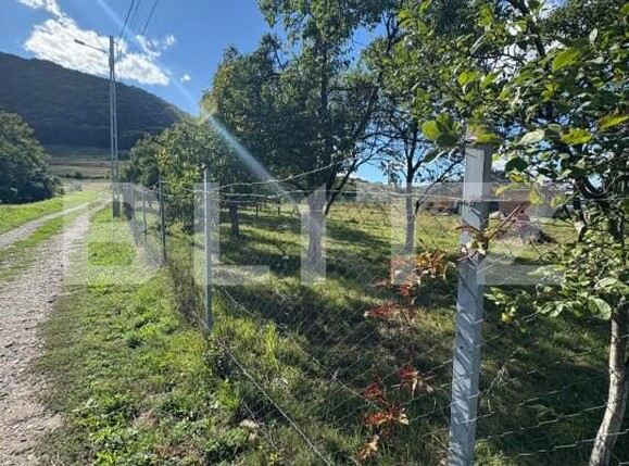 Teren de vânzare Sud - 177590TV | BLITZ Bistriţa | Poza3