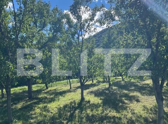 Teren de vânzare Sud - 177590TV | BLITZ Bistriţa | Poza1