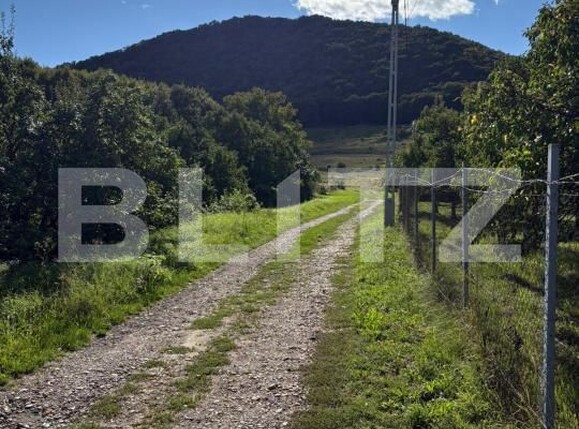 Teren de vânzare Sud - 177590TV | BLITZ Bistriţa | Poza5
