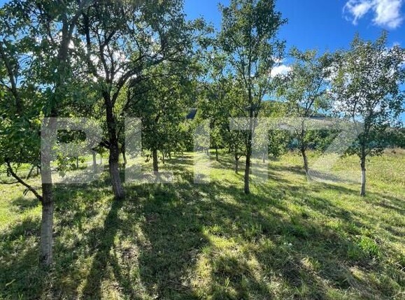 Teren de vânzare Sud - 177590TV | BLITZ Bistriţa | Poza2