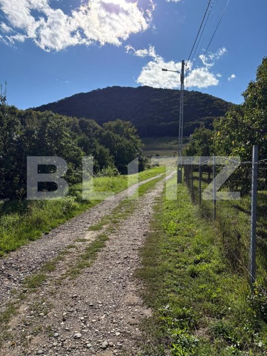 Teren de vânzare Sud - 177590TV | BLITZ Bistriţa | Poza5