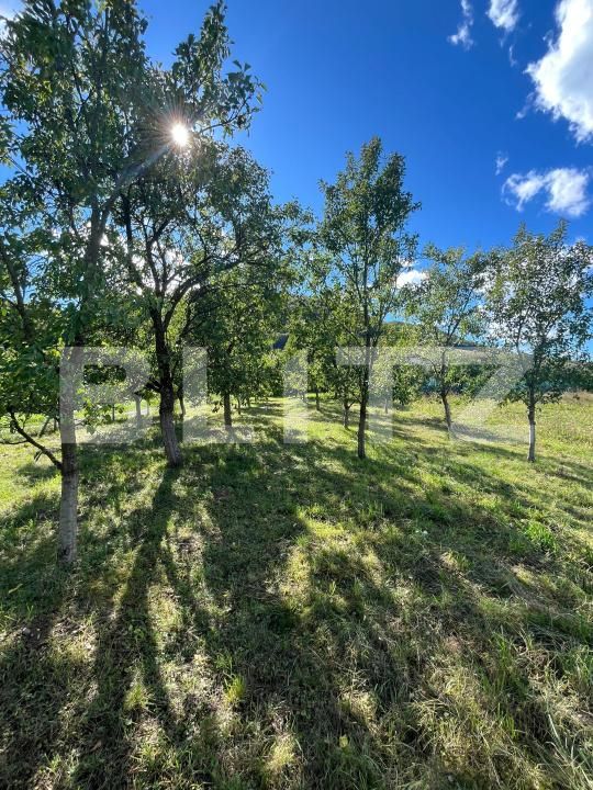 Teren de vânzare Sud - 177590TV | BLITZ Bistriţa | Poza2