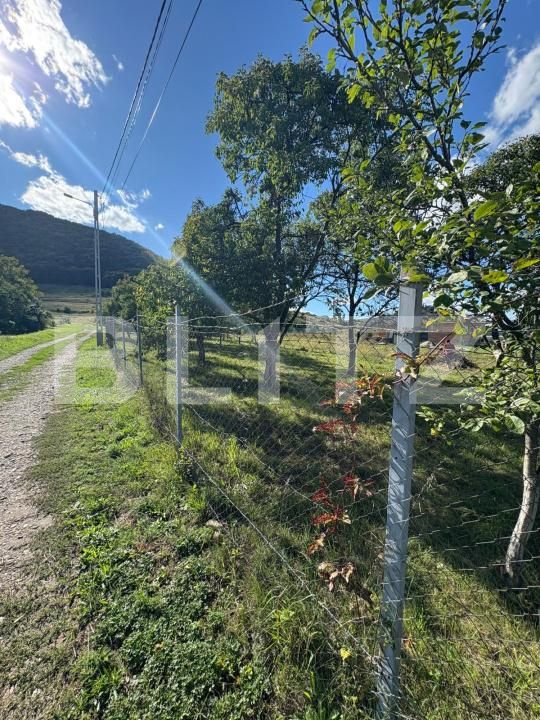 Teren de vânzare Sud - 177590TV | BLITZ Bistriţa | Poza3