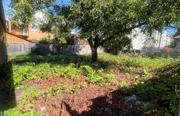 Teren ultracentral de vanzare, 421 mp, Bistrita