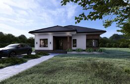 Casă in Bistrița(str. Lacului)