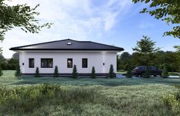 Casă in Bistrița(str. Lacului)