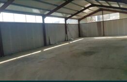 Hala De Inchiriat, 250 mp, zona Rombat
