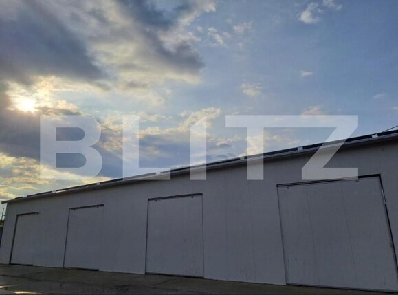 Spațiu industrial de închiriat Cetății - 177875SII | BLITZ Bistriţa | Poza4