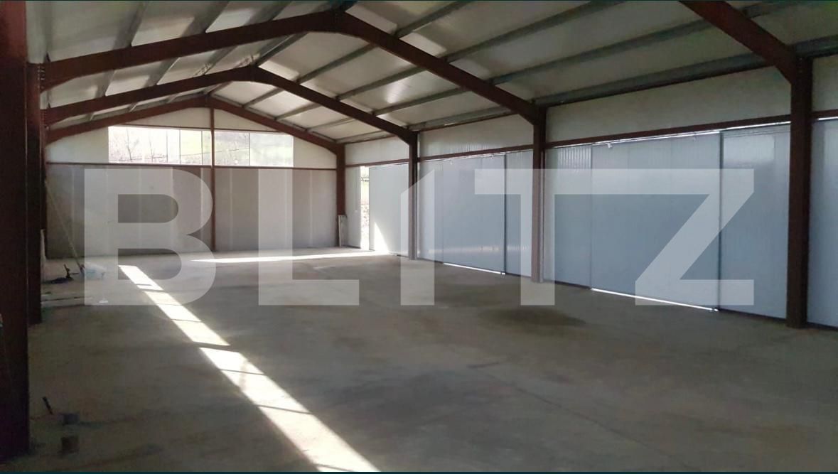 Spațiu industrial de închiriat Cetății - 177875SII | BLITZ Bistriţa | Poza3