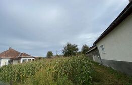 Teren intravilan de vânzare, 2.691 mp – Mărișelu, județul Bistrița-Năsăud