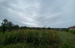 Teren intravilan de vânzare, 2.691 mp – Mărișelu, județul Bistrița-Năsăud