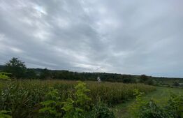 Teren intravilan de vânzare, 2.691 mp – Mărișelu, județul Bistrița-Năsăud