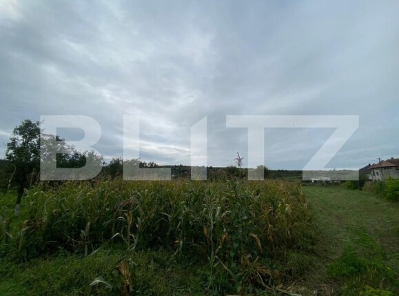 Teren de vânzare Exterior Est - 177938TV | BLITZ Bistriţa | Poza1