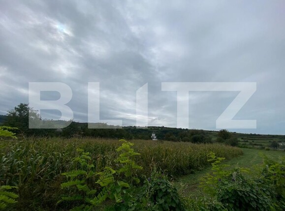 Teren de vânzare Exterior Est - 177938TV | BLITZ Bistriţa | Poza2