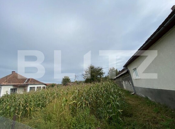 Teren de vânzare Exterior Est - 177938TV | BLITZ Bistriţa | Poza3