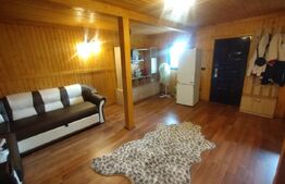 Casa de vacanta din lemn,60 mp,foisor,teren 686 mp extravilan, Dealu Jelnei