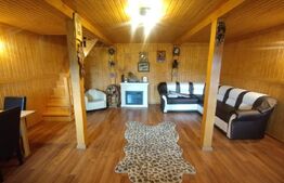 Casa de vacanta din lemn,60 mp,foisor,teren 686 mp extravilan, Dealu Jelnei