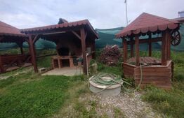 Casa de vacanta din lemn,60 mp,foisor,teren 686 mp extravilan, Dealu Jelnei