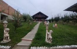 Casa de vacanta din lemn,60 mp,foisor,teren 686 mp extravilan, Dealu Jelnei