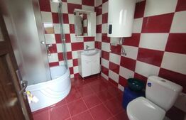 Casa de vacanta din lemn,60 mp,foisor,teren 686 mp extravilan, Dealu Jelnei