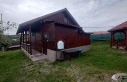 Casa de vacanta din lemn,60 mp,foisor,teren 686 mp extravilan, Dealu Jelnei
