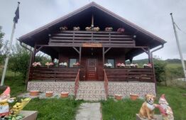 Casa de vacanta din lemn,60 mp,foisor,teren 686 mp extravilan, Dealu Jelnei