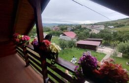 Casa de vacanta din lemn,60 mp,foisor,teren 686 mp extravilan, Dealu Jelnei